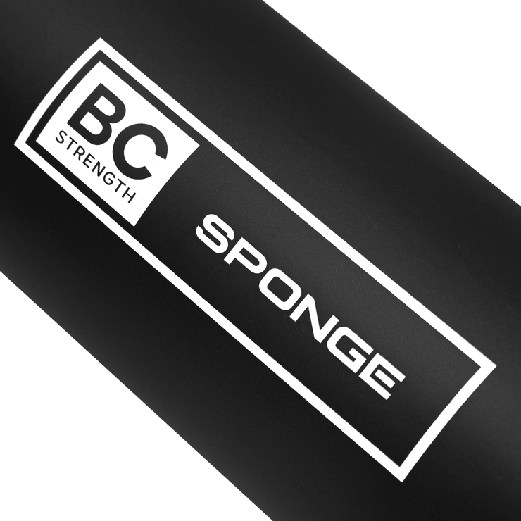 Sponge